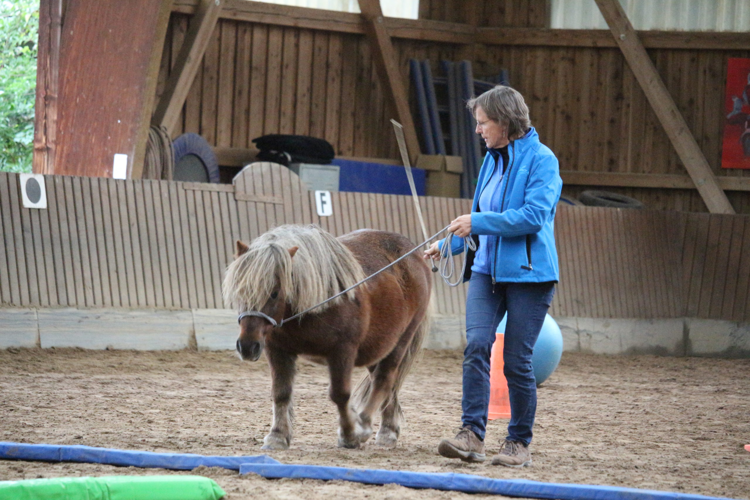 Der 5-Minuten-Podcast: Mein Pferd geht nicht vorwärts!