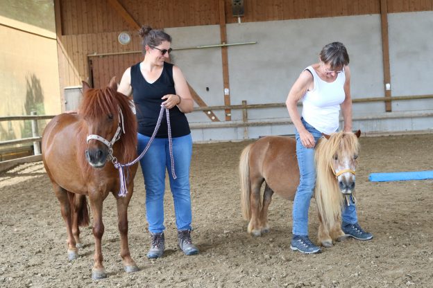 TGI Resilienzförderung mit Pferd und Tellington