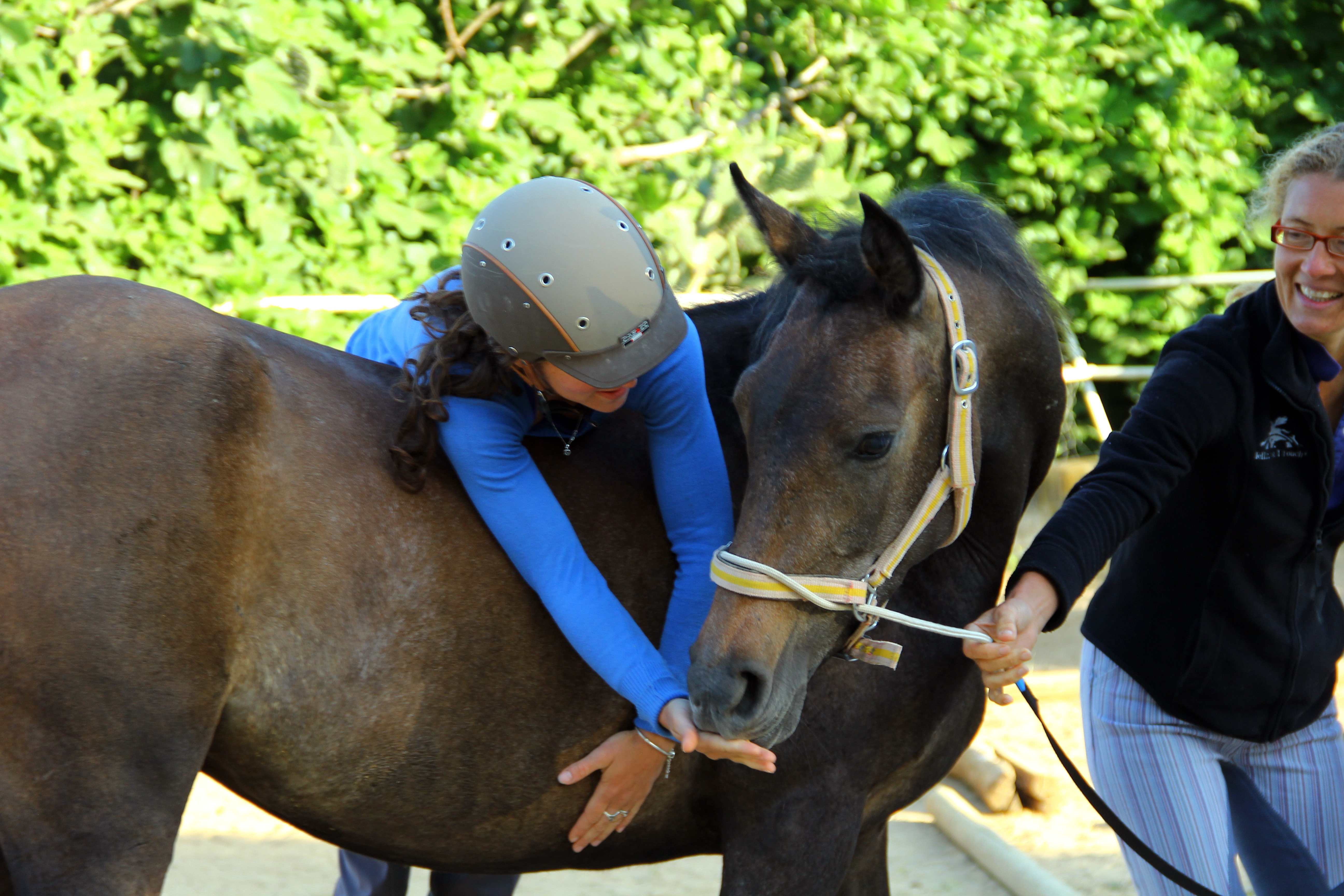 Der große Jungpferde-Kurs 2026