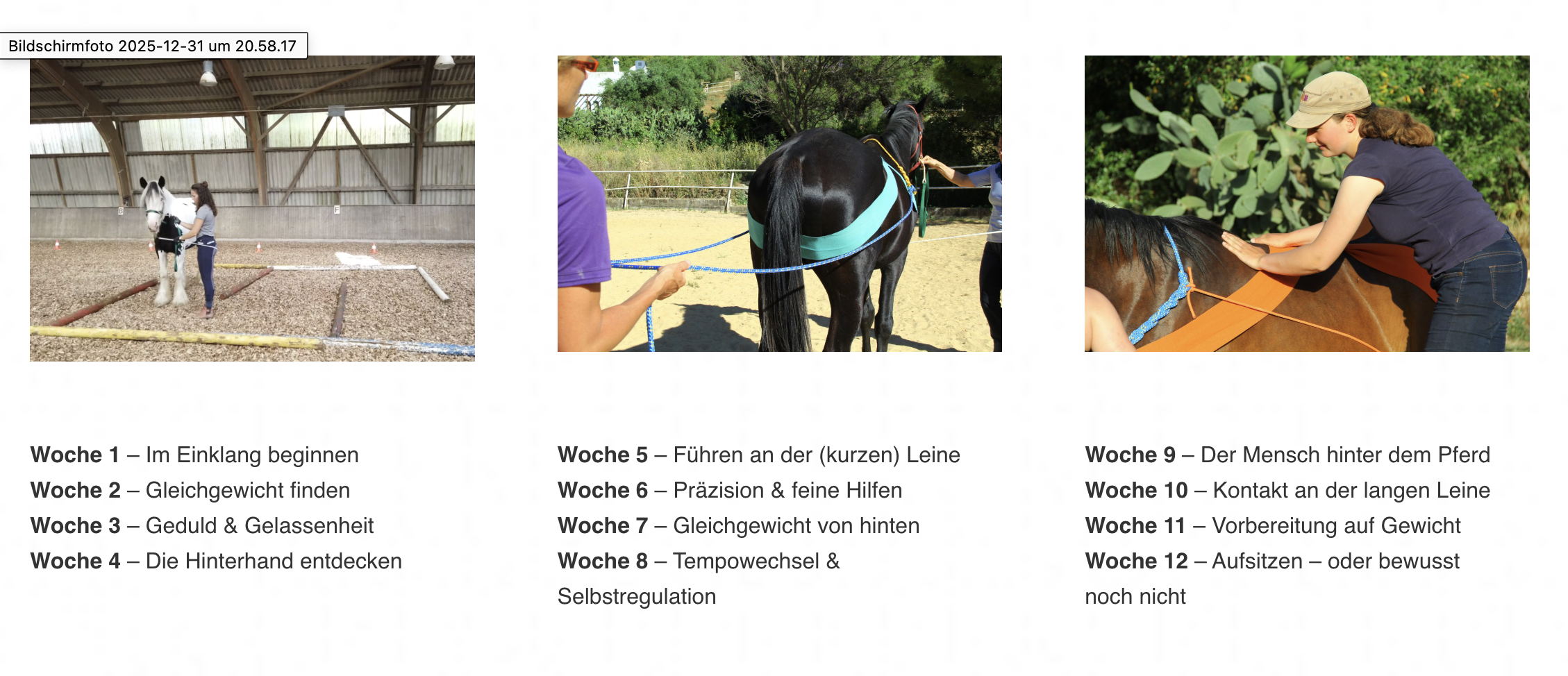 Pferdeausbildungskurs Wochenplan